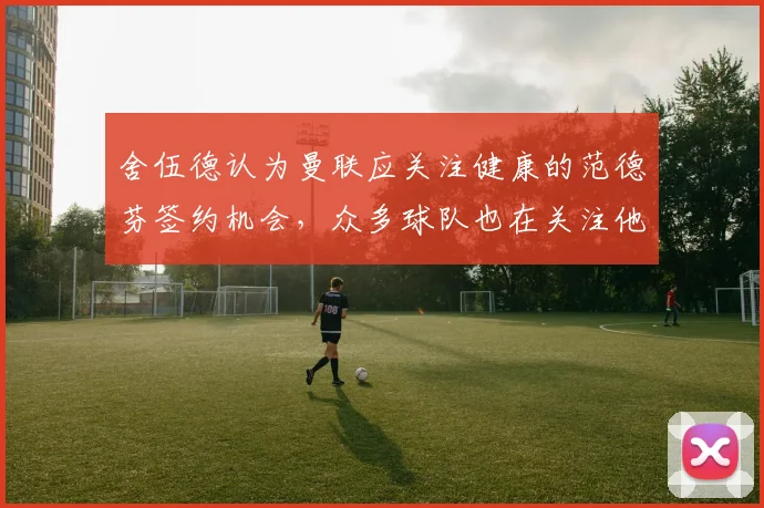 舍伍德认为曼联应关注健康的范德芬签约机会，众多球队也在关注他
