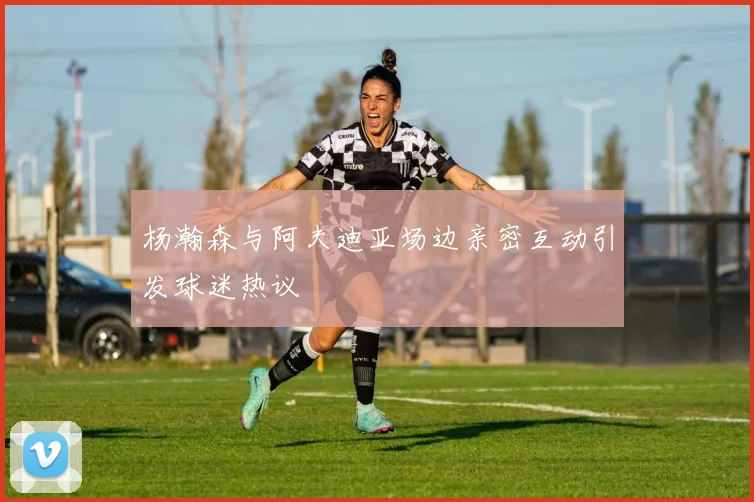 杨瀚森与阿夫迪亚场边亲密互动引发球迷热议