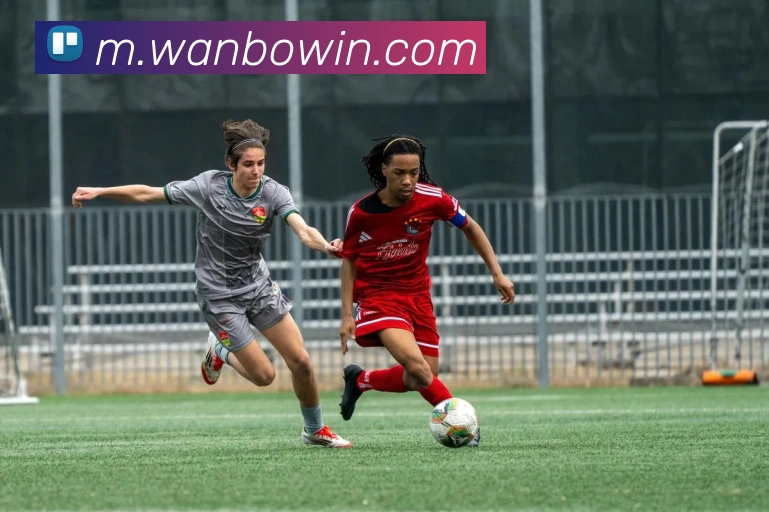 万博体育平台生态图