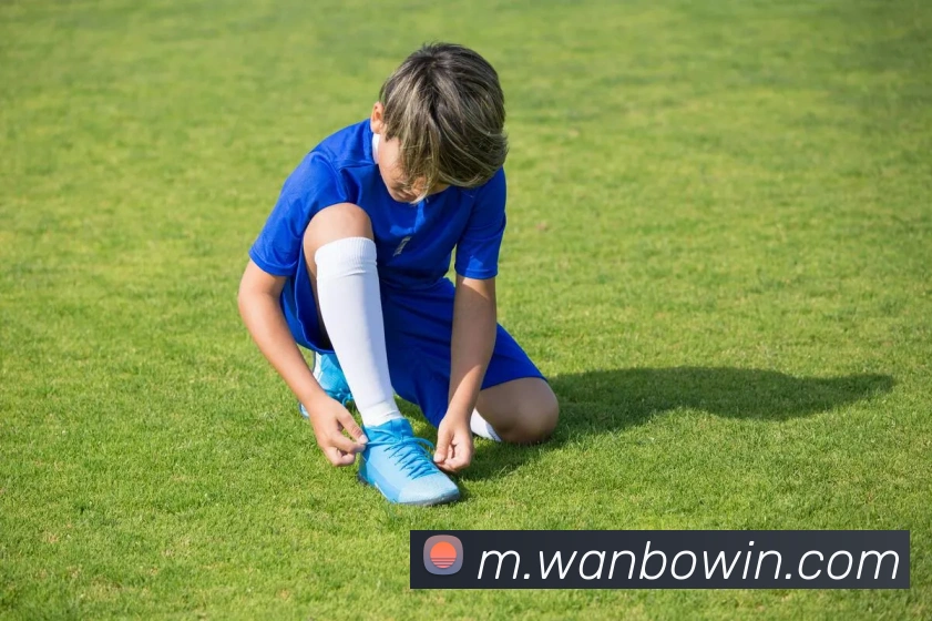 万博体育APP 封面图